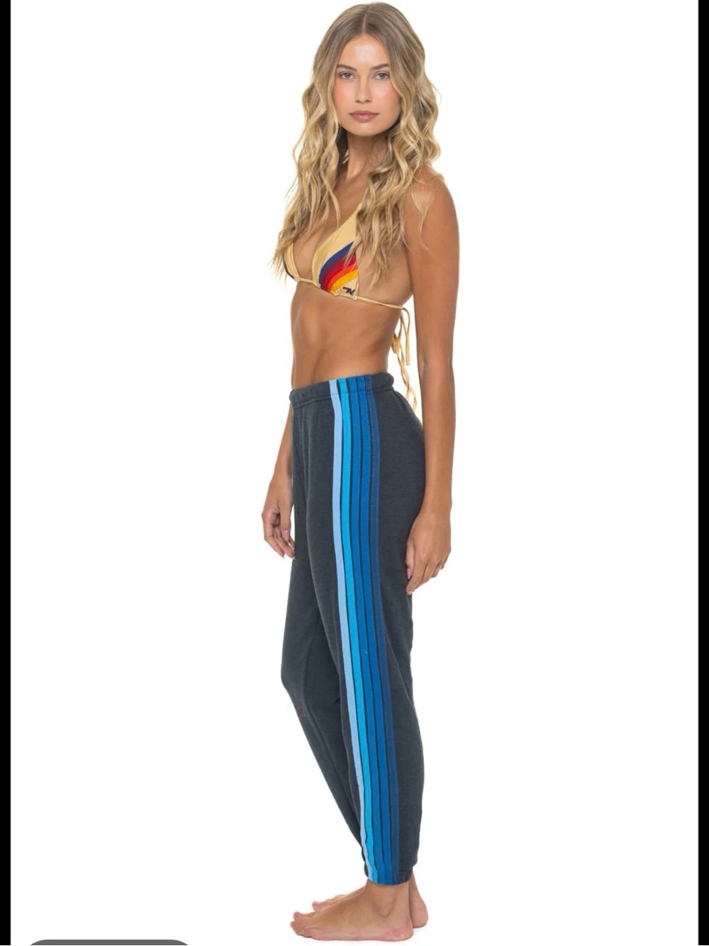 Aviator Nation Charcoal Joggers with Blue Stripe Side Panel